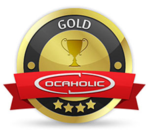 Gold Award