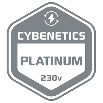 PLATINUM