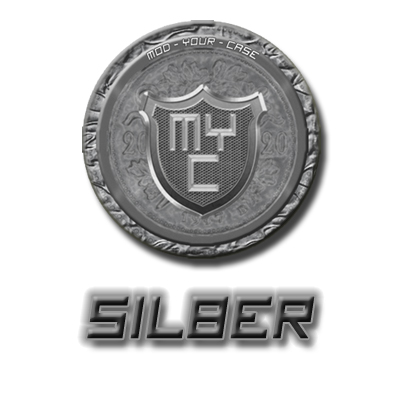 Silver Award