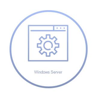 Windows Server Standard 2025 to 2022 Downgrade Kit-Multilanguage ROK