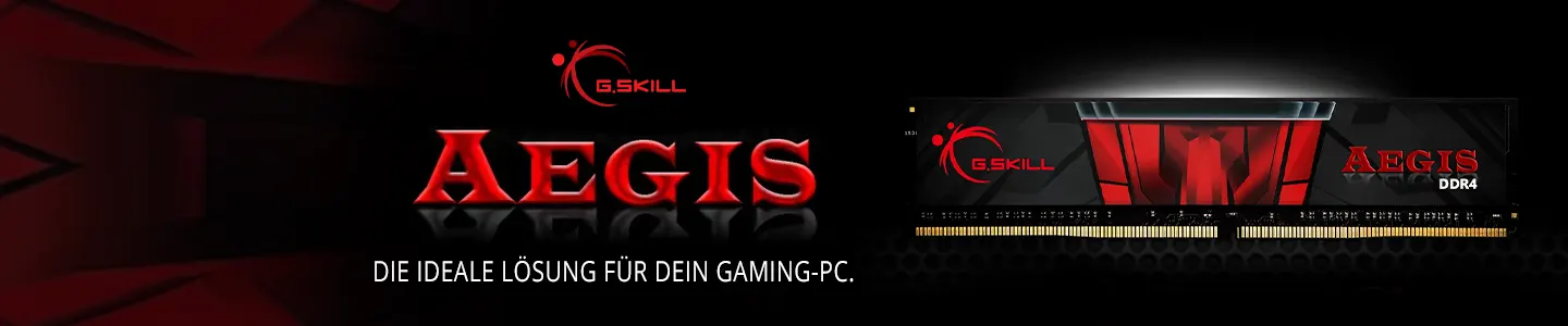 G.Skill AEGIS DDR4 Arbeitsspeicher