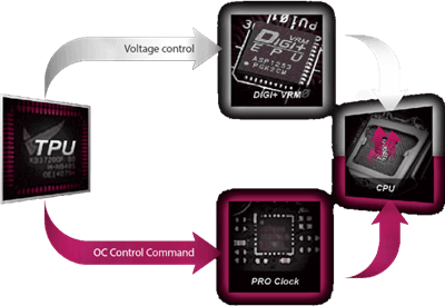 OC-DESIGN: ASUS PRO CLOCK-TECHNOLOGIE
