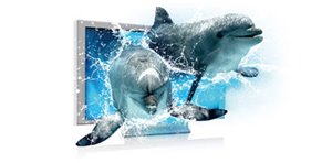 Blu-ray 3D-Untersttzung