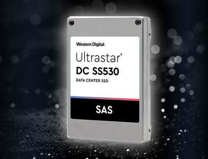 SAS SSD