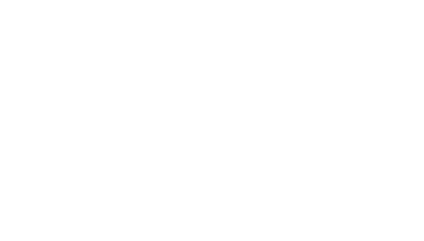 AVM AVM