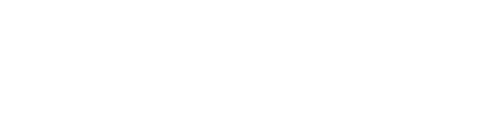 Aorus Aorus