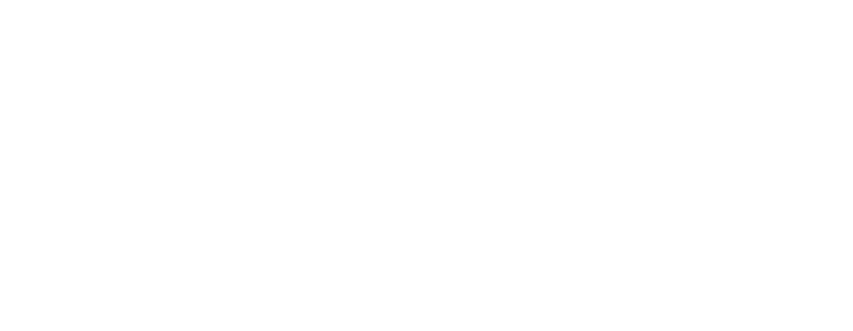 Aorus Aorus