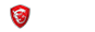 MSI MSI