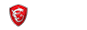 MSI MSI