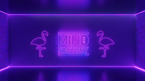 Mindfactory Pink Flamingo