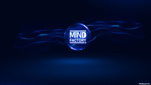 Mindfactory Bubble