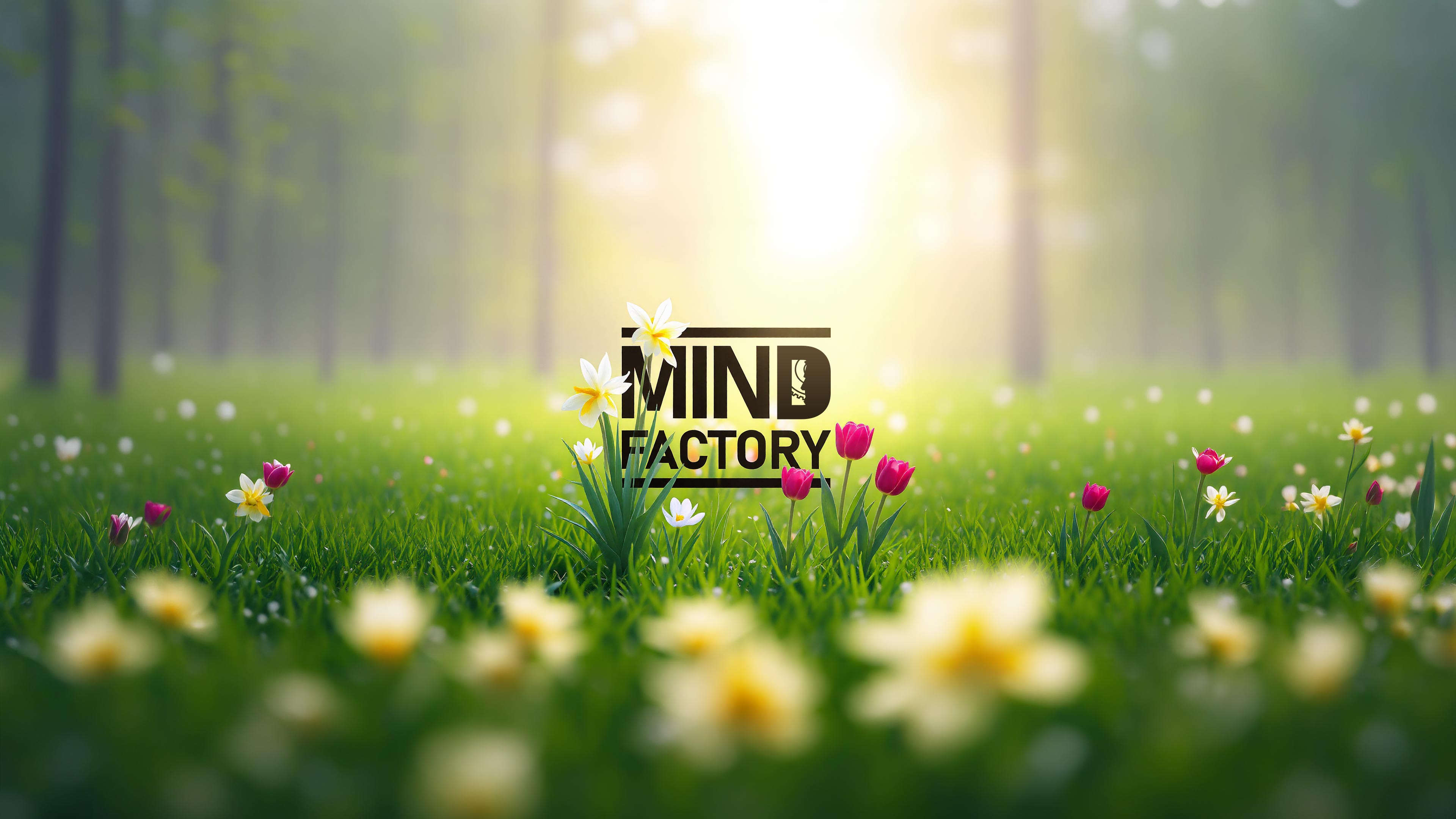 Mindfactory Spring 2026