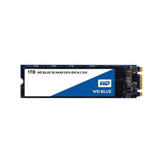 WD SSD