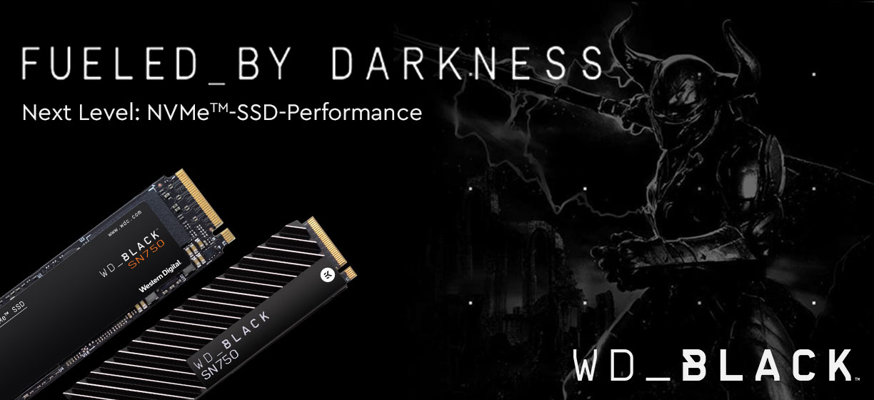 WD BLACK SN750 NVMe SSD WD BLACK SN750 NVMe SSD